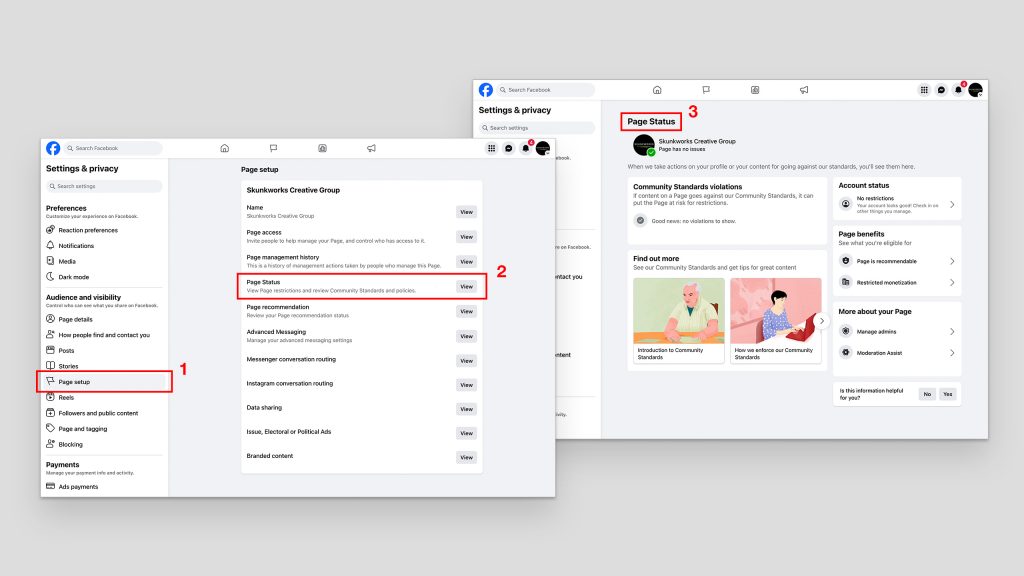 Where to find your company page status on Facebook (Meta).